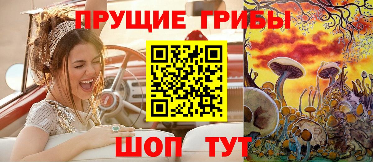 Псилоцибиновые грибы Psilocybe Александров